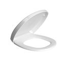 assento-termofixo-com-easy-clean-e-slow-close-ap766-17-branco--deca-loucas