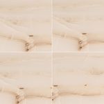 porcelanato-esmaltado-retificado-duomo-opala-polido--584x1170--portinari