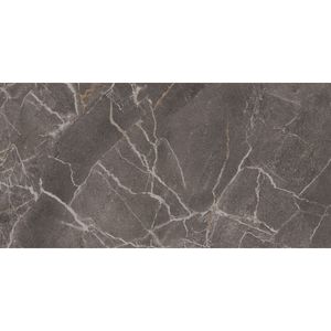 Porcelanato Lumina Dgr Acetinado Esmaltado Retificado 58,4x117,0 - Portinari