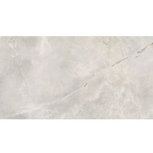 Porcelanato Magnum Hd Sgr Polido Esmaltado Retificado 58,4x117,0 - Portinari