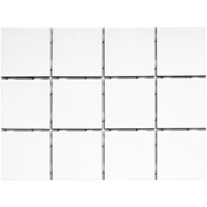 Pastilha Whyte Brilho 5500 Esmaltado Bold 10x20 - Strufaldi