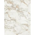 revestimento-vivaldi-carrara-wh-polido-retificado-584x1170--portinari