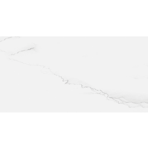 Porcelanato Lumina Wh Natural Esmaltado Retificado 58,4x117,0 - Portinari