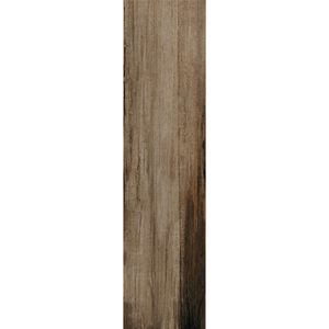 Porcelanato Ar30184 Griza Acetinado Esmaltado Retificado 30,0x121,0 - Damme