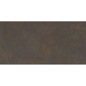 Porcelanato Eiffel Dbw Natural Esmaltado Retificado 58,4x117,0 - Portinari