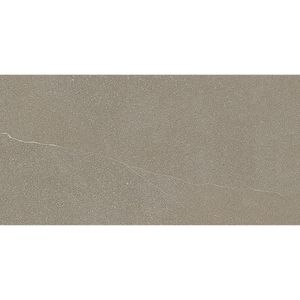 Porcelanato Apogeu Dgr Natural Esmaltado Retificado 58,4x117,0 - Portinari