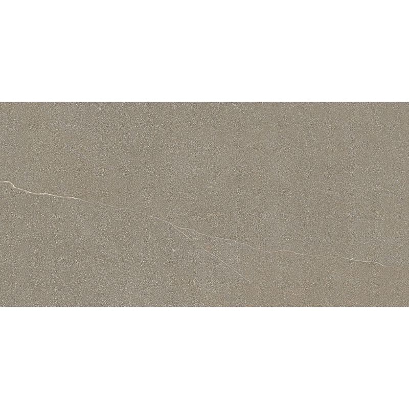 porcelanato-esmaltado--apogeu-dgr-nat-retificado-584x1170--portinari