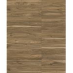 porcelanato-palco-bw-hard-esmaltado-retificado-19x117--portinari
