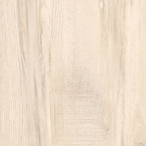 Porcelanato Ecotech Marfim Acetinado Esmaltado Retificado 61x61 - Gaudi