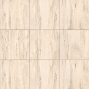 Porcelanato Ecotech Marfim Acetinado Esmaltado Retificado 61x61 - Gaudi