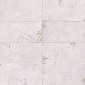 Porcelanato Patagonia Sgr Polido Esmaltado Retificado 58,4x117,0 - Portinari