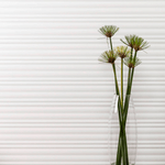 revestimento-triennale-branco-acetinado-decor-esmaltado-retificado-45x120--decortiles