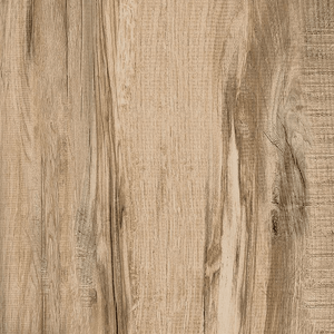 Porcelanato Ecotech Carvalho Acetinado Esm Retificado 61x61 - Gaudi