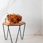 porcelanato-calacatta-ouro-acetinado-esmaltado-retificado-120x120--decortiles