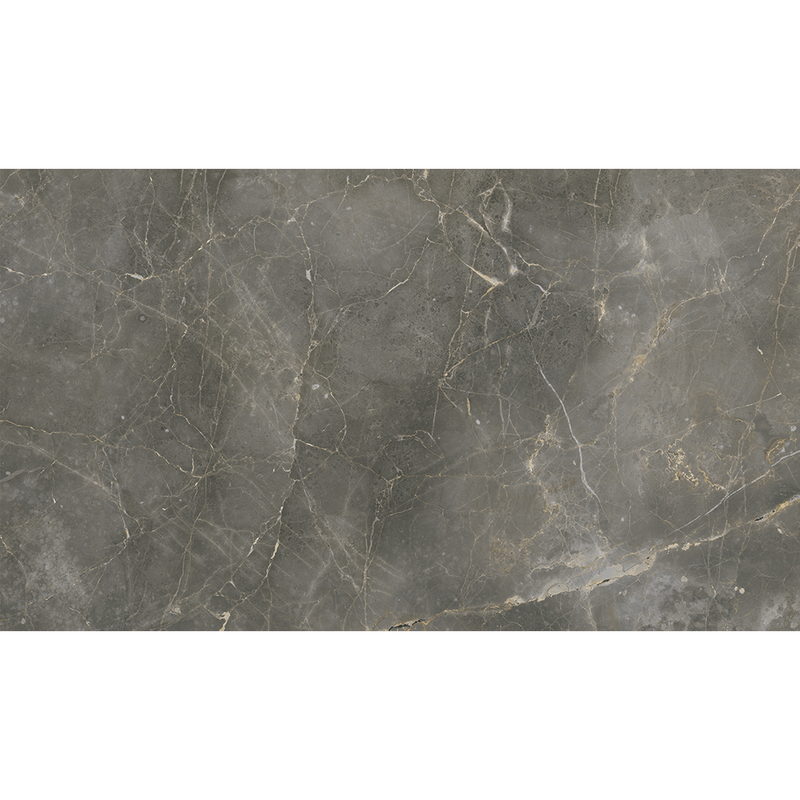 porcelanato-magnum-dgr-polido-retificado-584x117--portinari