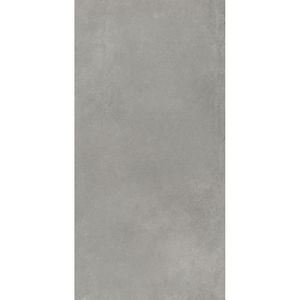 Porcelanato Munich Gr Natural Esmaltado Retificado 58,4x117,0 - Portinari
