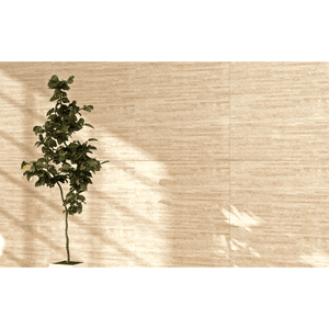 Revestimento Versano Beige Acetinado Decor 14303 Esmaltado Bold 32x57 - Fioranno