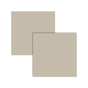 Porcelanato Avorio Tecno Polido 80x80 - Delta