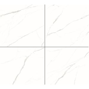 Porcelanato Statuario Acetinado  Ar24187 Esmaltado Retificado 121,0x121,0 - Damme