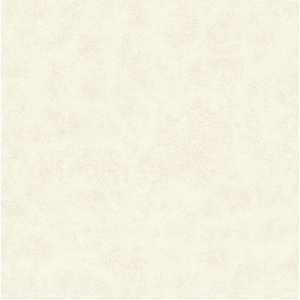 Piso Niobium Plus Brilhante Esmaltado Bold 62x62 - Cecafi