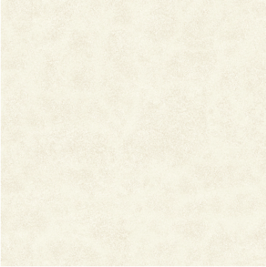 piso-niobium-plus-brilhante-esmaltado-bold-62x62--cecafi