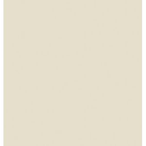 Porcelanato Paglia-73 Polido Esmaltado Retificado 73x73 - Delta