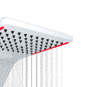 Ducha Ducali Eletronica  7500w 220 V Branco - Zagonel