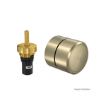 acabamento-de-registro-pressao-redondo-12-e-34-summer-gold--deca