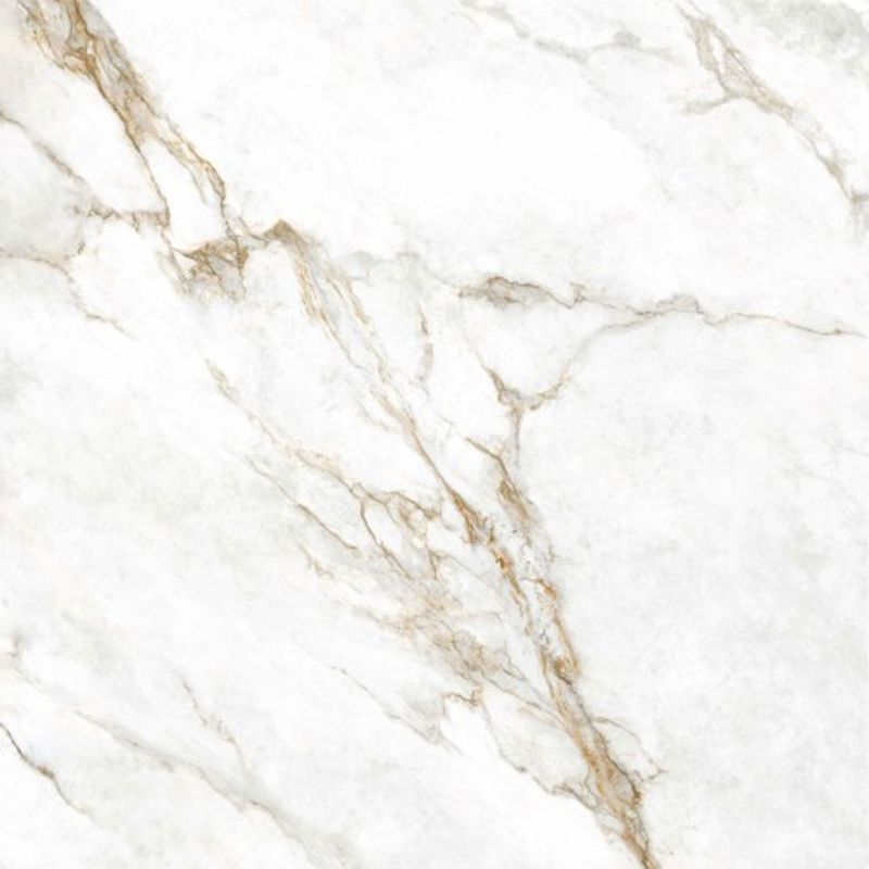 porcelanato marmo perla satin acetinado esmaltado retificado 1200x1200  biancogres
