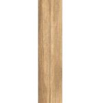 porcelanato-celeiro-norte-8378-rustico--esmaltado-monotom-202x865--ceusa