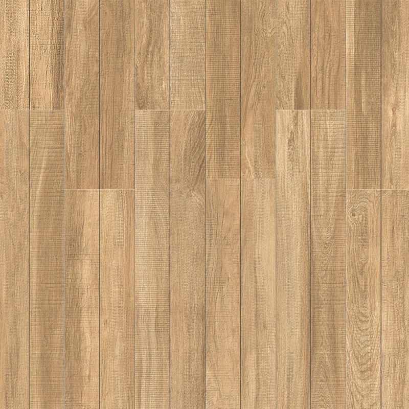 porcelanato-celeiro-norte-8378-rustico--esmaltado-monotom-202x865--ceusa