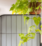 revestimento-aquarela-off-white-mate-esmaltado-bold-70x25--decortiles