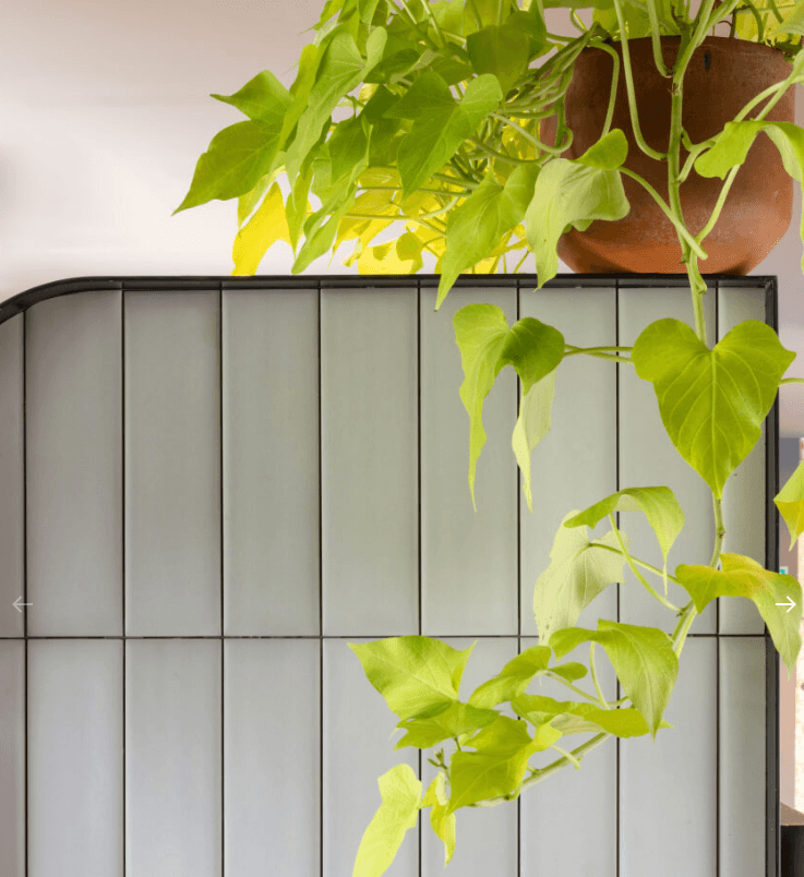 revestimento-aquarela-off-white-mate-esmaltado-bold-70x25--decortiles