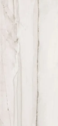 porcelanato-fossile-polido-esmaltado-retificado-590x1182--eliane