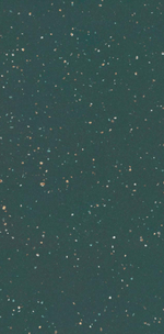 porcelanato-silex-veggie-polido-esmaltado-retificado-600x1200--eliane