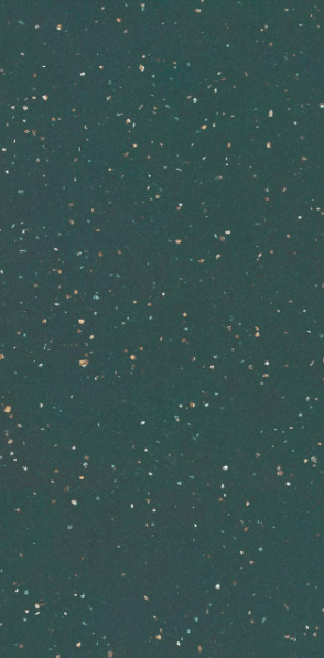 porcelanato-silex-veggie-polido-esmaltado-retificado-600x1200--eliane
