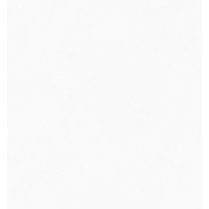 Porcelanato Croma Branco Natural Esmaltado Retificado 120,0x120,0 - Portinari