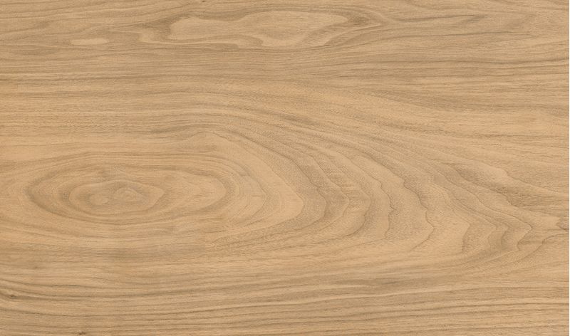 porcelanato-esmaltado-retificado-scene-be-natural-260x1600--portinari