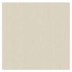 porcelanato-panna-plus-natural-tecnico-retificado-600x600--eliane