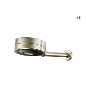 Chuveiro Novo Parede Technoshower Niquel Escovado - Docol