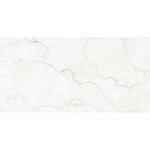 porcelanato-esmaltado-pr12170-maestro-blanc-polido-retificado-61x120--damme