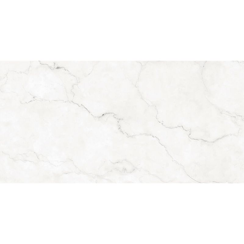 porcelanato-esmaltado-pr12170-maestro-blanc-polido-retificado-61x120--damme
