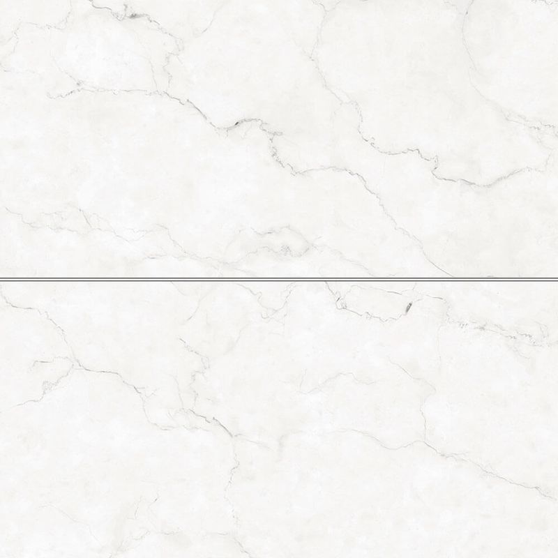 porcelanato-esmaltado-pr12170-maestro-blanc-polido-retificado-61x120--damme