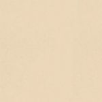 porcelanato-neutral-polido-esmaltado-retificado-898x898--portinari
