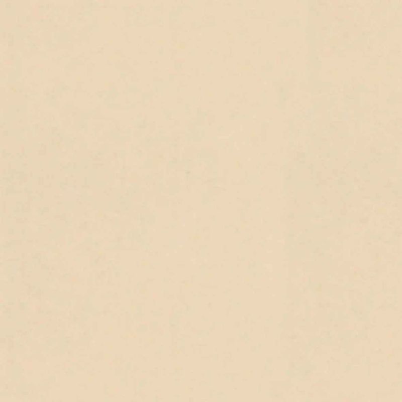 porcelanato-neutral-polido-esmaltado-retificado-898x898--portinari