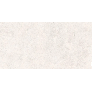 Porcelanato Ritual Ofw Hard Esmaltado Retificado 58,4x117,0 - Portinari