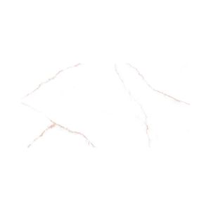 Branco Pigues Polido Pr12256 Porcelanato Esm Retif 62,0x121,0 - Damme