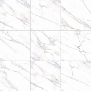 Carrara Acetinado Piso Esmaltado Retificado 61,5x61,5  - Almeida