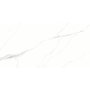 Porcelanato Statuario Polido Pr12187 Esmaltado Retificado 62,0x121,0 - Damme