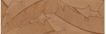 revestimento-trentino-bronze-mt-esmaltado-retificado-300x900--eliane